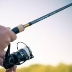 Top 10 Fishing Rod Brands in India 2025