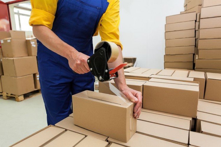 Top 10 Famous Courier Companies in India 2025
