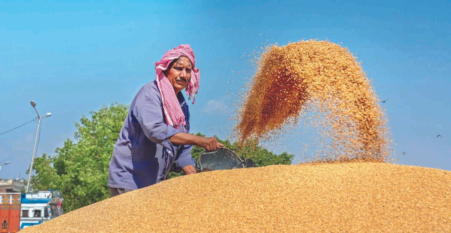 largest wheat producing state in India
