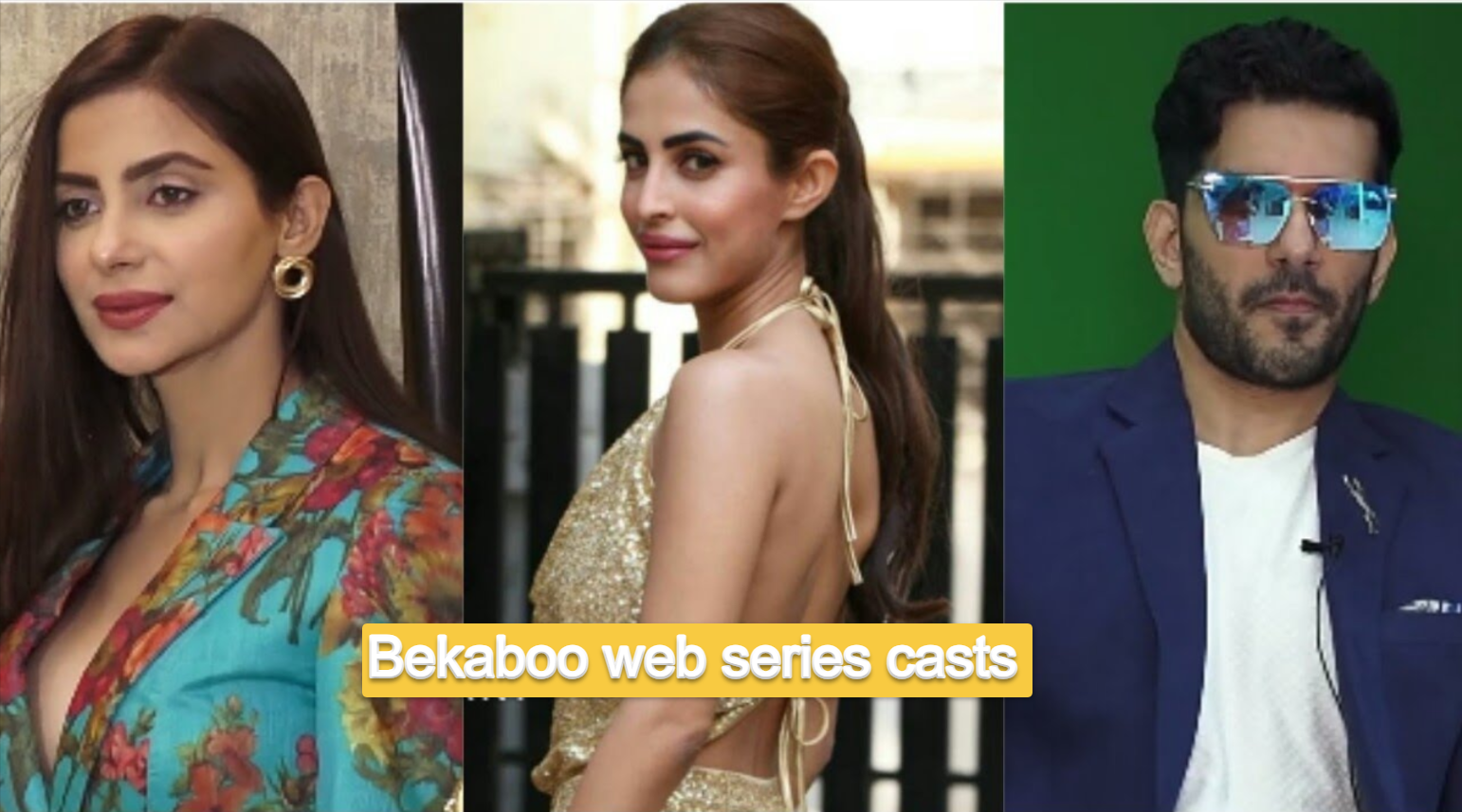 Top 10 Bekaboo web series cast and crew