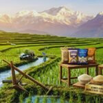 A high-resolution, top-down shot of extra-long, cooked Basmati rice grains in a traditional brass bowl, with raw grains and spices (cardamom, star anise) scattered around.