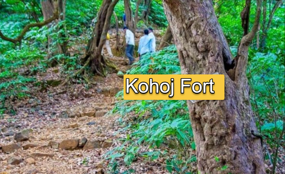 Kohoj Fort
