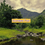 Gumtara Fort