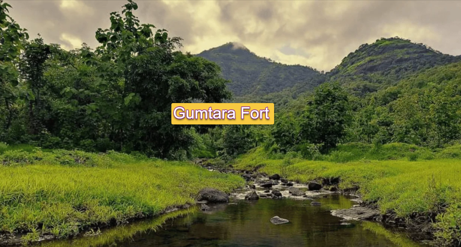 Gumtara Fort